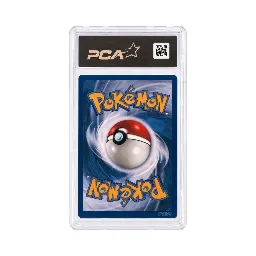Reptincel 24/102 - Set de Base - First Edition - PCA 9 - Pokémon JCC - verso