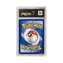 Zekrom Full Art 114/114 - Noir & Blanc - Pokémon JCC - verso