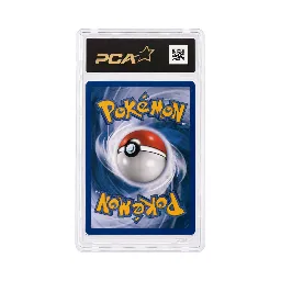 Wartortle 42/102 - Set de Base - Firstedition - Pokémon JCC - verso