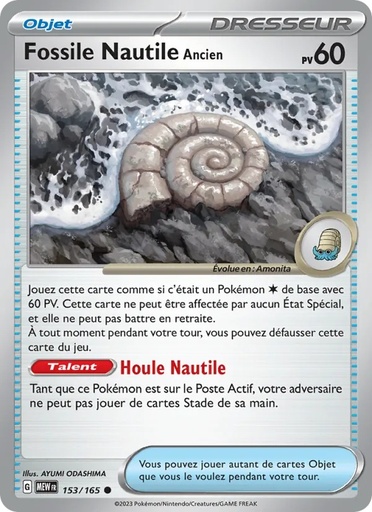 [153/165] Fossile Nautile Ancien 153/165