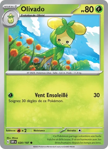 [020/197] Olivado 020/197 Reverse
