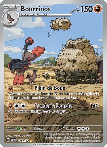 [175/162] Bourrinos 175/162 Holo