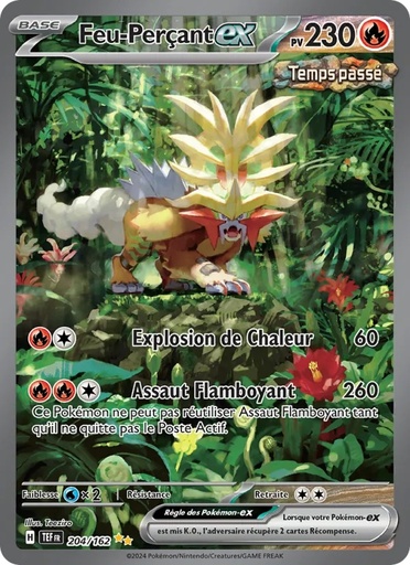 [204/162] Feu-Perçant-ex 204/162 Holo