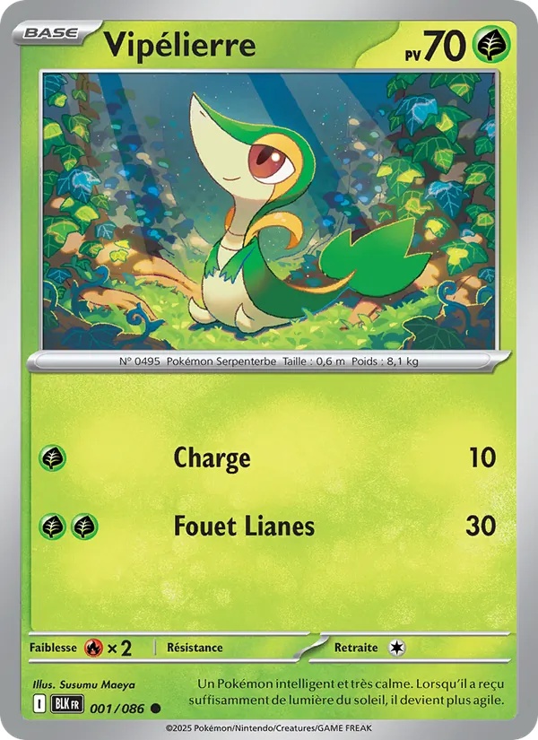 [001/86] Vipélierre 001/86 Reverse