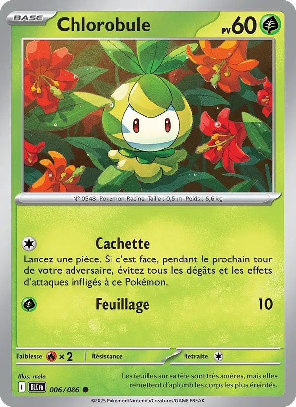 [006/86] Chlorobule 006/86 Reverse