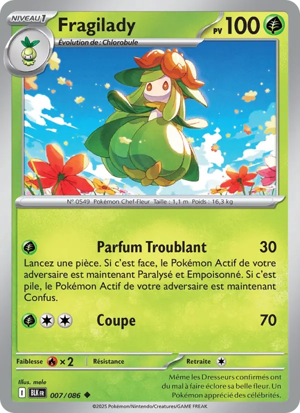 [007/86] Fragilady 007/86 Reverse