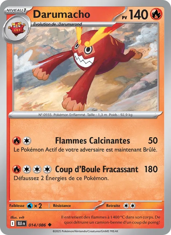 [014/86] Darumacho 014/86 Reverse