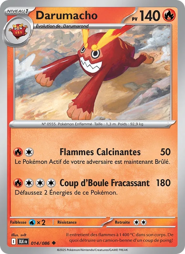 [014/86] Darumacho 014/86 Reverse