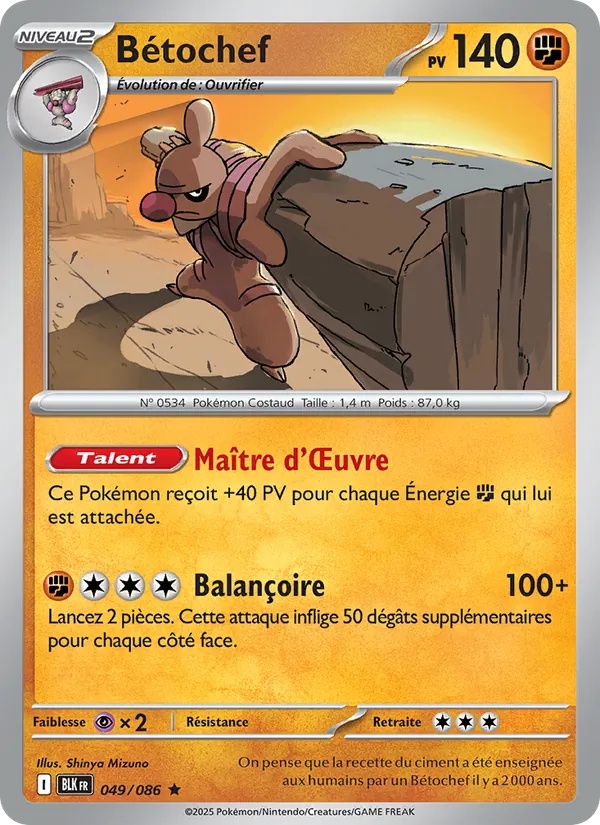 [049/86] Bétochef 049/86 Holo