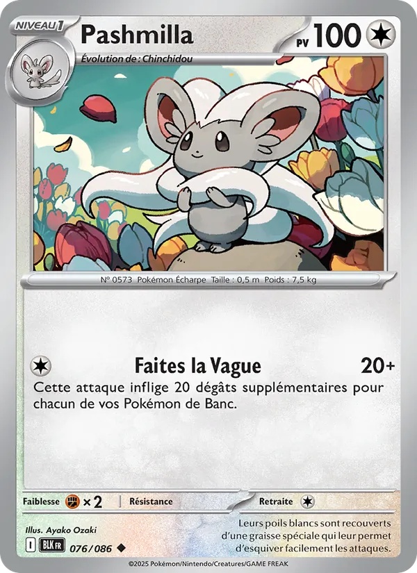 [076/86] Pashmilla 076/86 Reverse