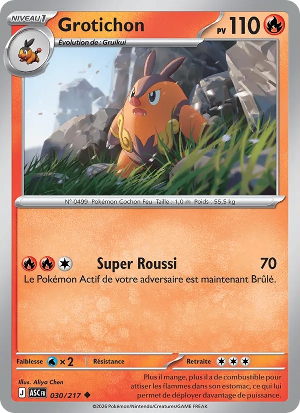 [030/217] Grotichon 030/217 Reverse