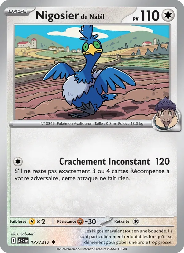 [177/217] Nigosier de Nabil 177/217