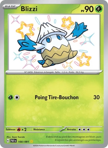 [100/91] Blizzi 100/91 Holo