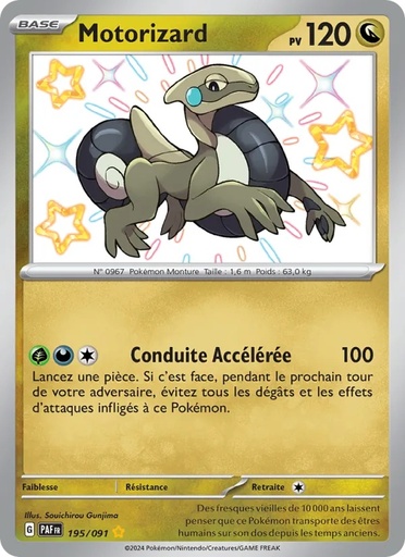 [195/91] Motorizard 195/91 Holo