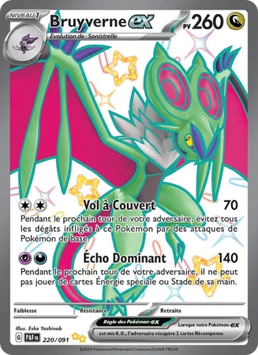 [220/91] Bruyverne-ex 220/91 Holo