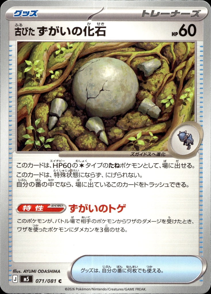 [071/081] Vieux Fossile Crâne 071/081 - Japonais