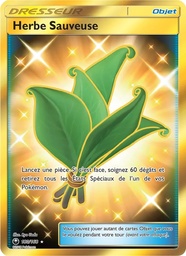 Herbe Sauveuse 180/168