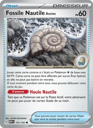 Fossile Nautile Ancien 153/165