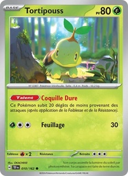 Tortipouss 010/162 - Forces Temporelles - Pokémon JCC