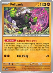 Félicanis 111/167