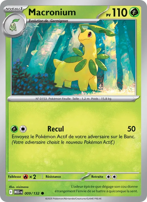 Macronium 009/132 - Méga-Évolution - Pokémon JCC