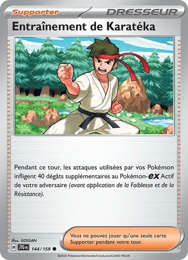Entraînement de Karatéka 144/159