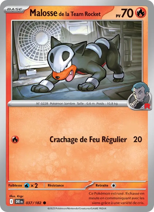 Malosse de la Team Rocket 037/182