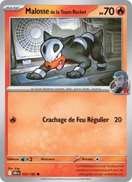 Malosse de la Team Rocket 037/182