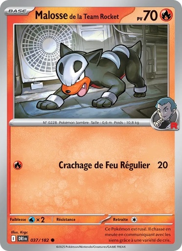 Malosse de la Team Rocket 037/182