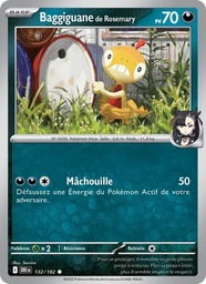 Baggiguane de Rosemary 132/182 - Rivalités Destinées - Pokémon JCC
