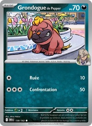 Grondogue de Pepper 138/182 - Rivalités Destinées - Pokémon JCC