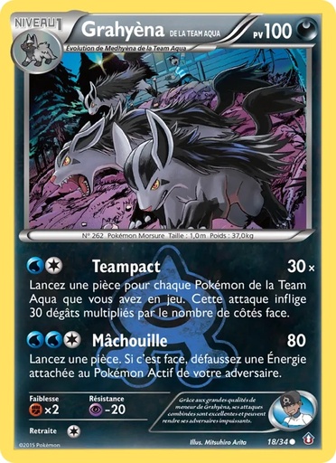 Grahyèna de la Team Aqua 18/34