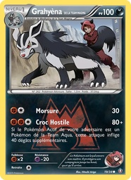 Grahyèna de la Team Magma 19/34 - Double Danger - Pokémon JCC