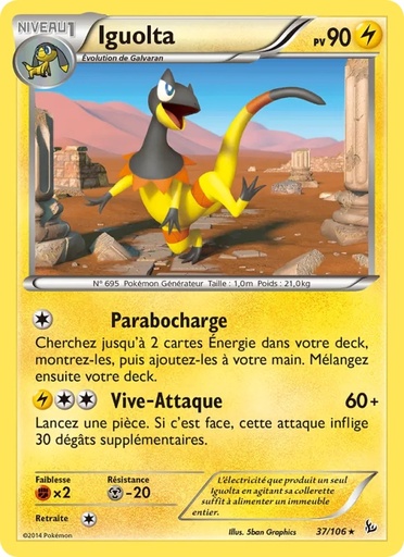 Iguolta 37/106