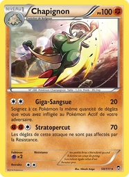 Chapignon 50/111