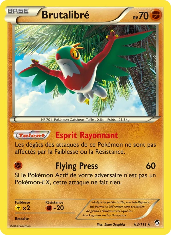 Brutalibré 63/111 - Poings Furieux - Pokémon JCC