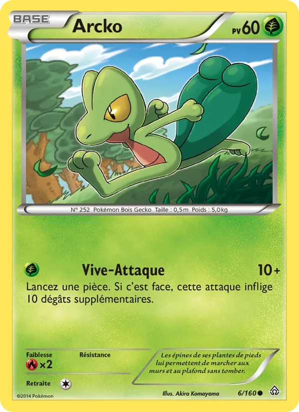 Arcko 6/160 - Primo-Choc - Pokémon JCC