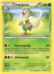 Chapignon 16/160