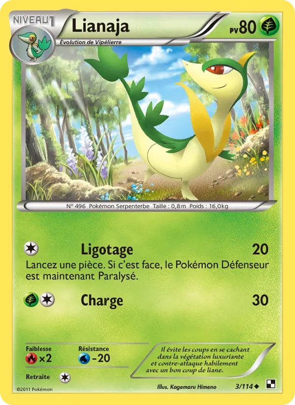 Lianaja 3/114 - Noir & Blanc - Pokémon JCC