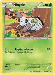 Ningale 9/108