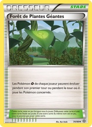 Forêt de Plantes Géantes 74/98