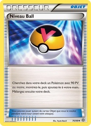 Niveau Ball 76/98