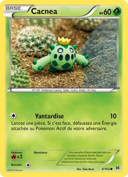 Cacnea 4/162