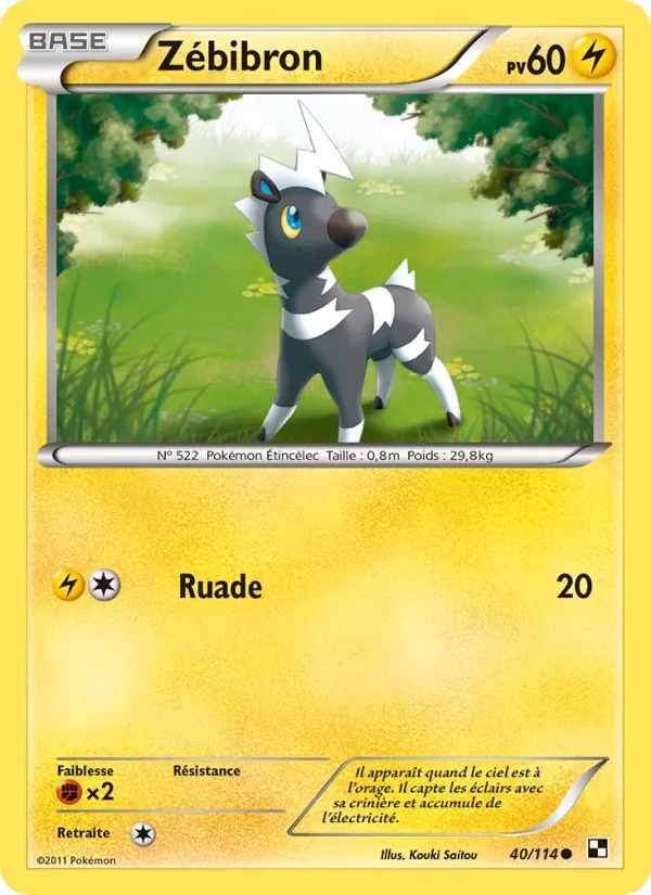 Zébibron 40/114 - Noir & Blanc - Pokémon JCC