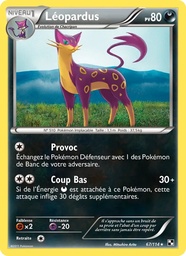 Léopardus 67/114