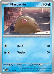 Marcacrin 023/94 - Flammes Fantasmagoriques - Pokémon JCC