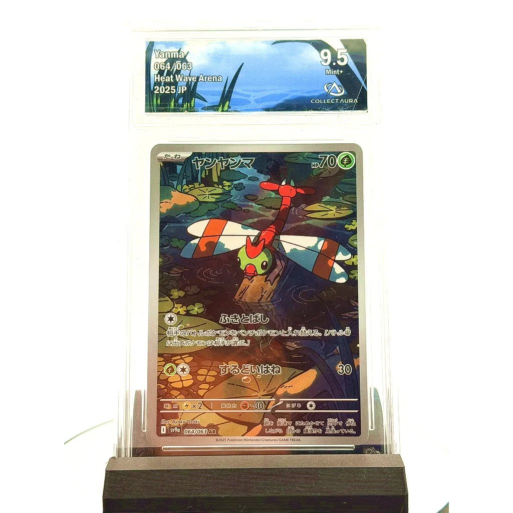 Yanma AR 064/063 SV9A - Japonaise - gradée COLLECT AURA 9.5