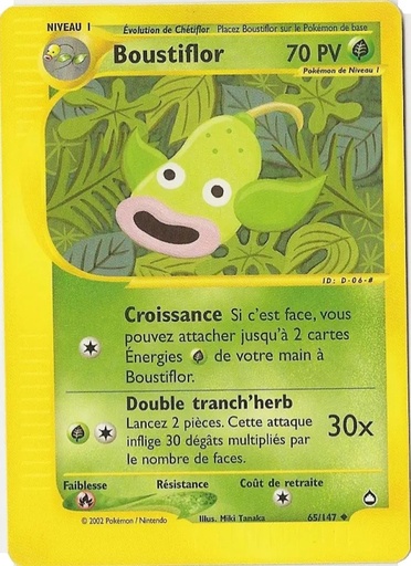 Boustiflor 65/147 Reverse