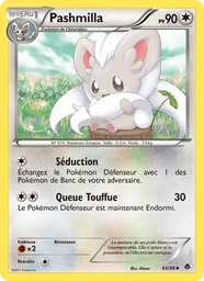 Pashmilla 85/98