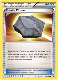 Fossile Plume 93/101